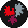 European Region